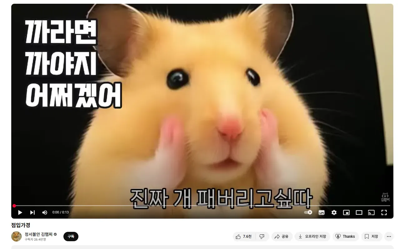 출처: 정사불안 김햄찌