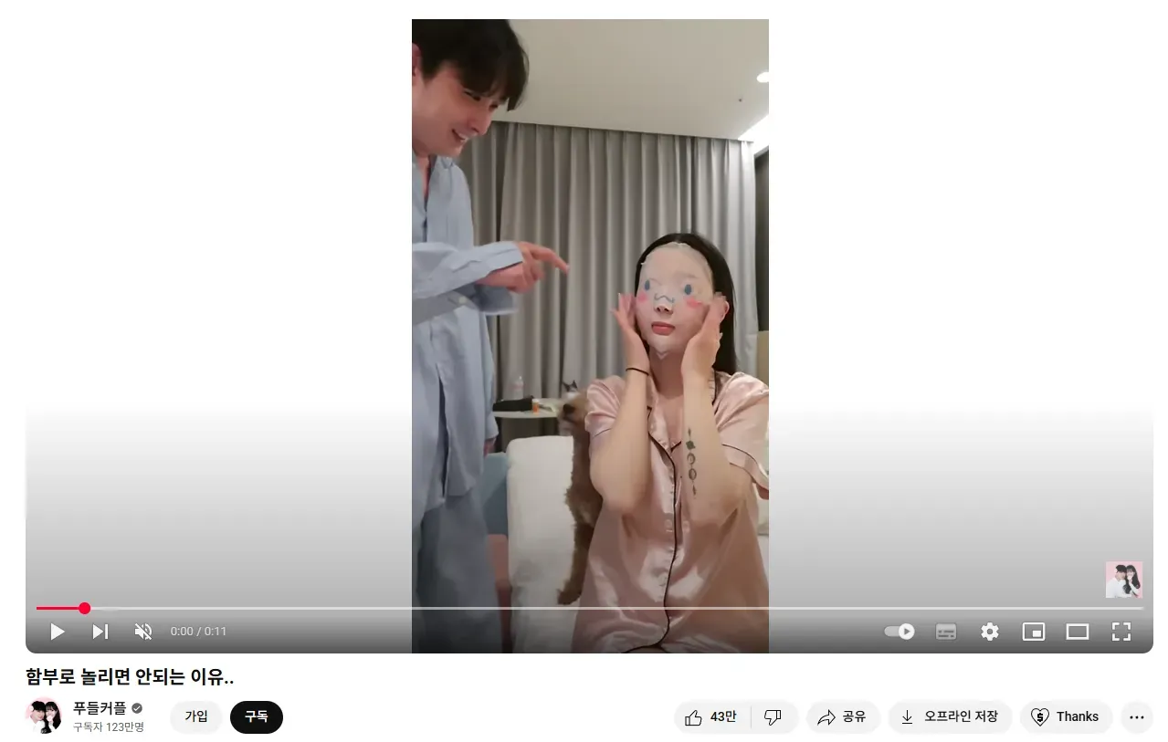 푸들커플 썸네일