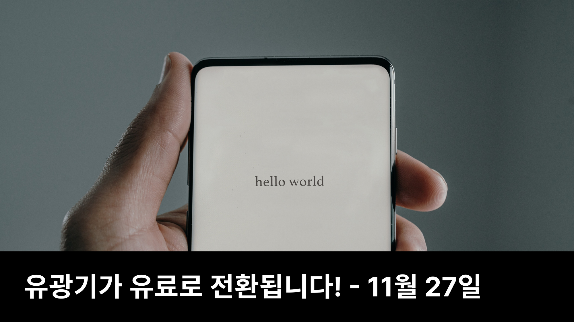 11월 27일, 유광기 유료화 전환 & 개발 계획 (feat. 얼리버드 할인)