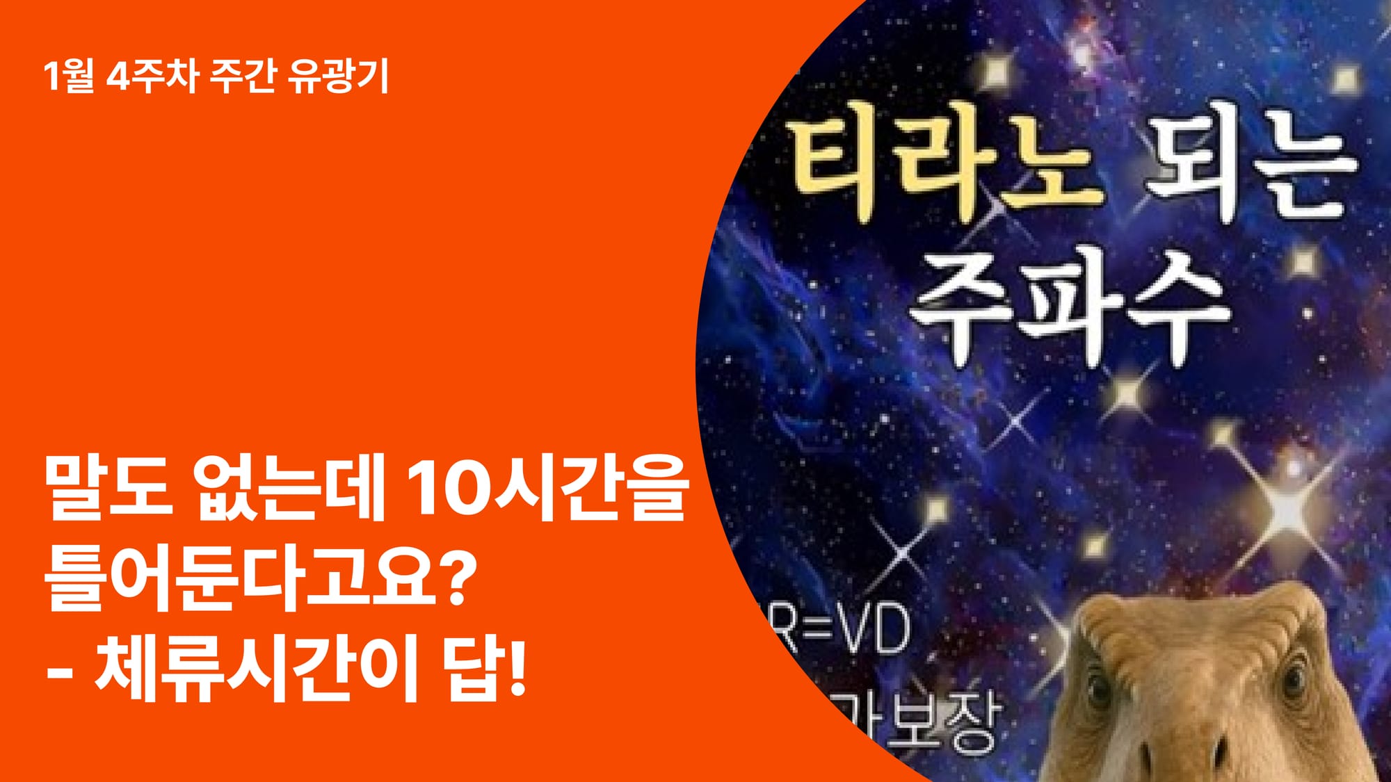 말도 없는데 10시간을 틀어둔다고요? 이상한데 계속 보게 되는 유튜브 콘텐츠